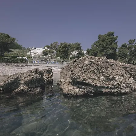 Vignola Vasto